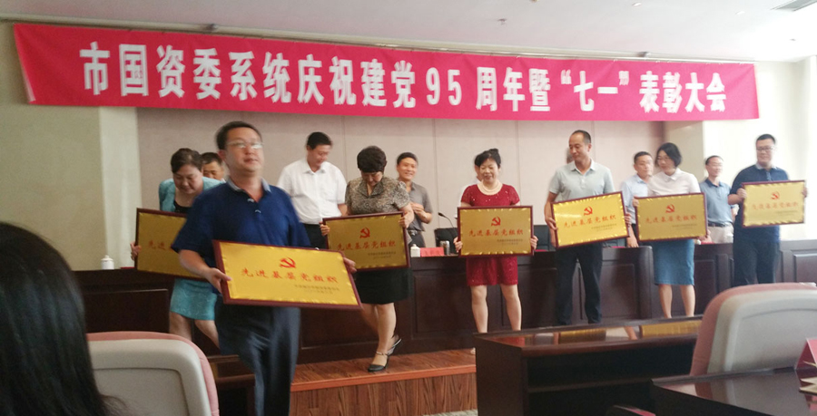 新華集團(tuán)優(yōu)秀黨組織和黨員受到表彰 第 2 張